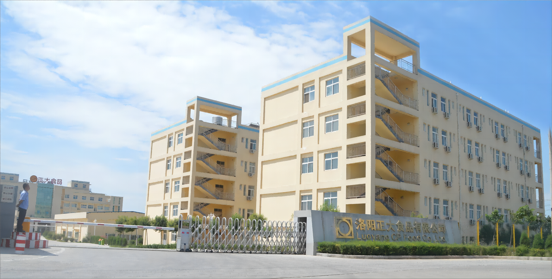 洛阳正大食品有限公司